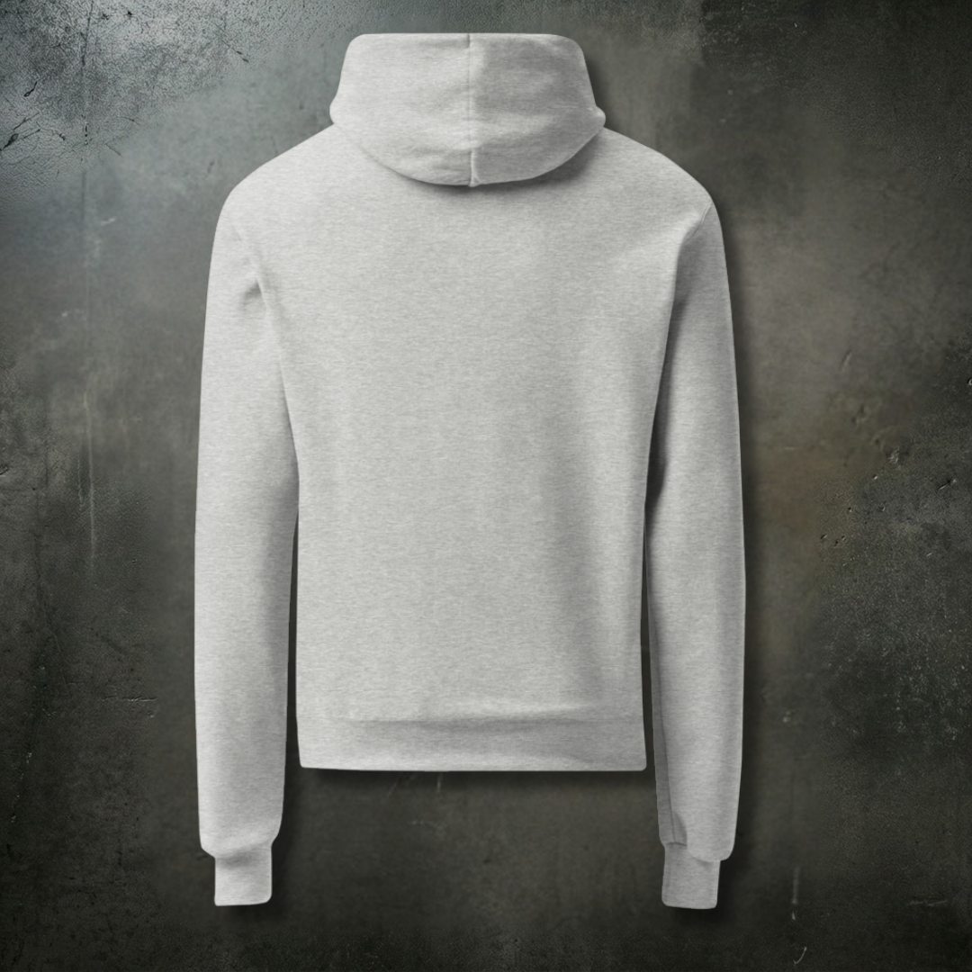 TAKE FLIGHT grey Champion hoodie