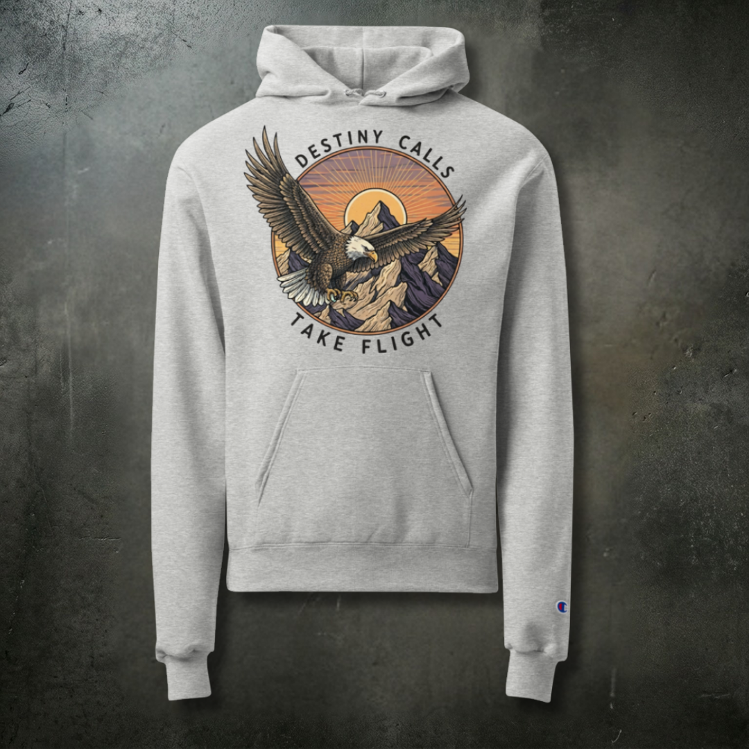TAKE FLIGHT grey Champion hoodie