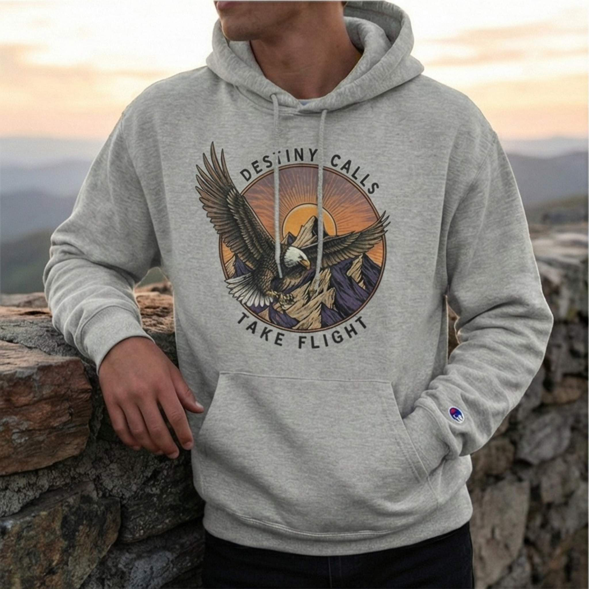 TAKE FLIGHT grey Champion hoodie